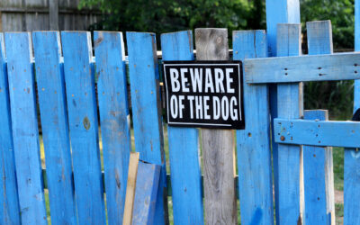 Defining Dangerous Dogs (and Owner Responsibility)