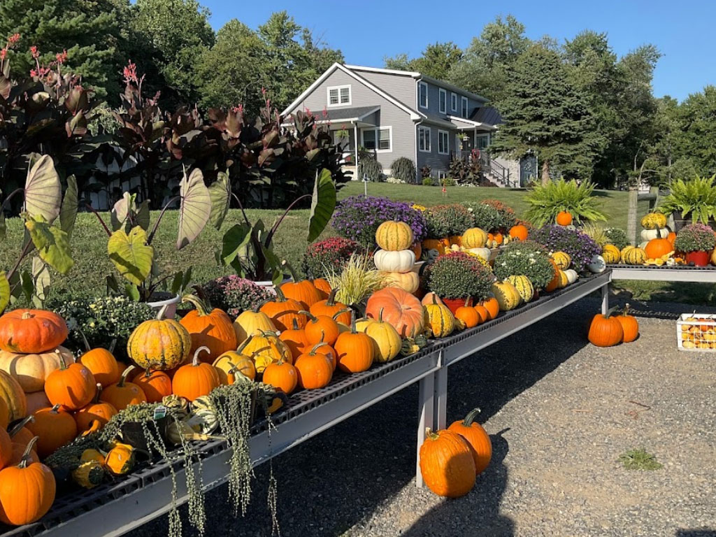 Gap scenic rural landscapes