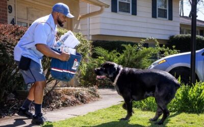 Nationwide Dog Bite Campaign Launches After Record Year for USPS Dog Bite Cases