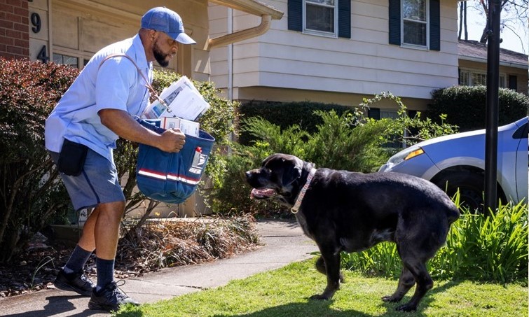 Nationwide Dog Bite Campaign Launches After Record Year for USPS Dog Bite Cases