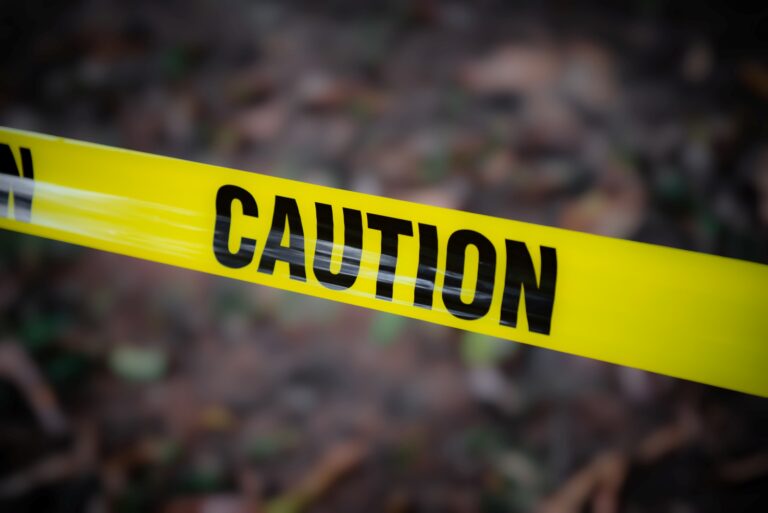 Central Pennsylvania Woman Charged After Pit Bull Attack at Danville Hotel Leaves One Injured, Dog Killed