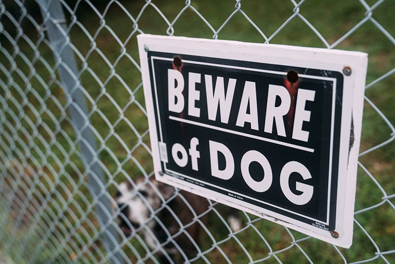 Beware of dog sign in yard